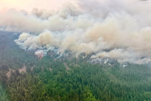 Metro Vancouver Air Quality Declines as Wildfire Smoke Meets Near 40°C Heat