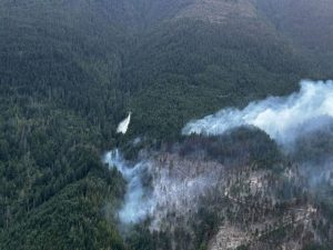 East Kootenay Wildfire Alert: Brunswick Creek Fire Grows