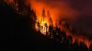 B.C. Wildfires: Over 5,000 People Under Evacuation Orders in 24 Hours
