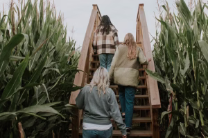 Chilliwack Corn Maze Opens Near Vancouver This Summer