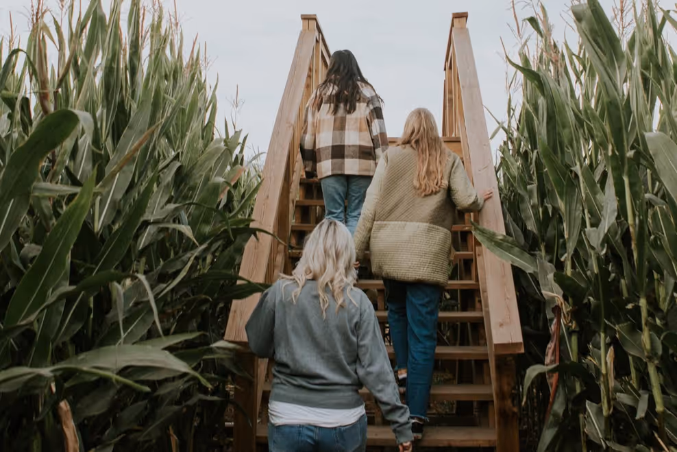 Chilliwack Corn Maze aerial view at Greendale Acres